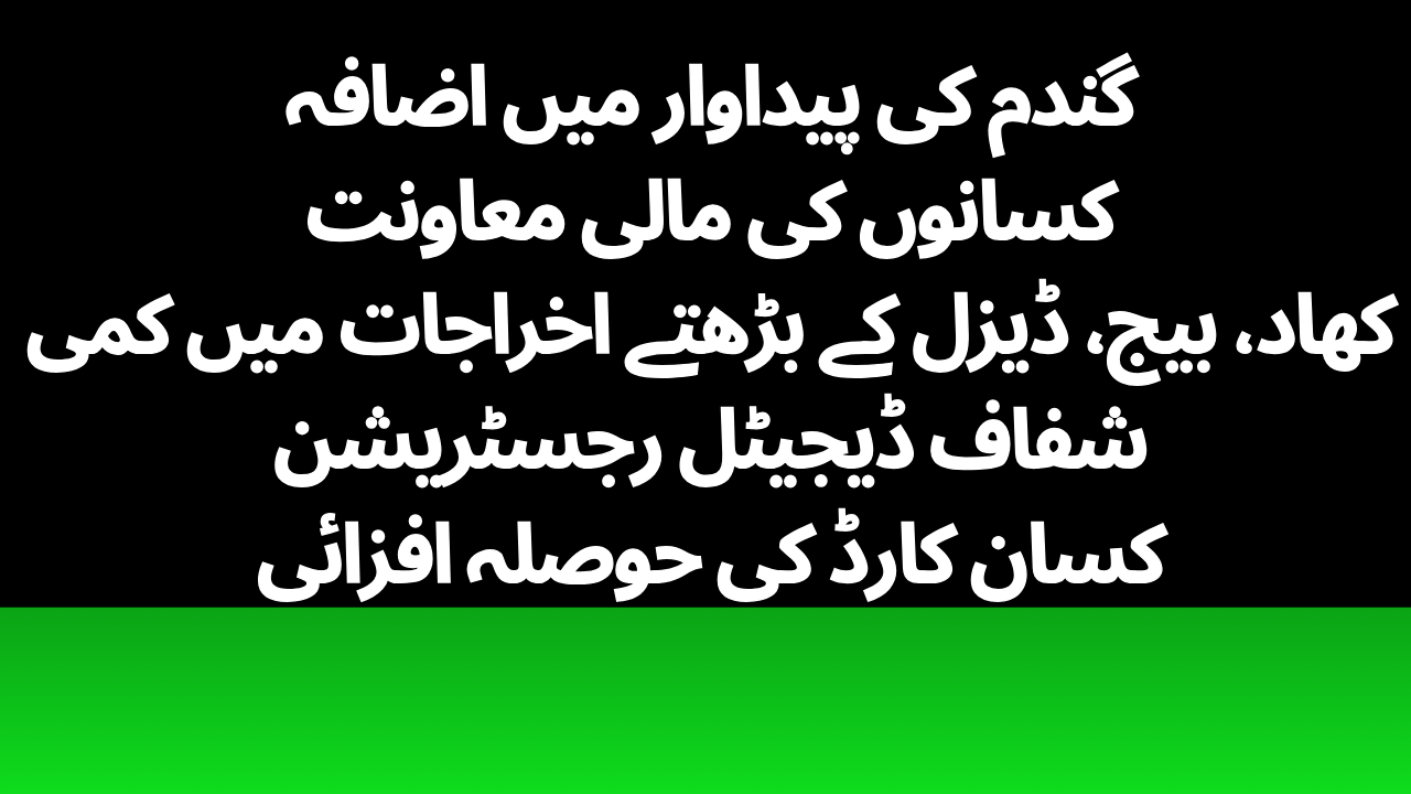 *CM Punjab Wheat Support Program